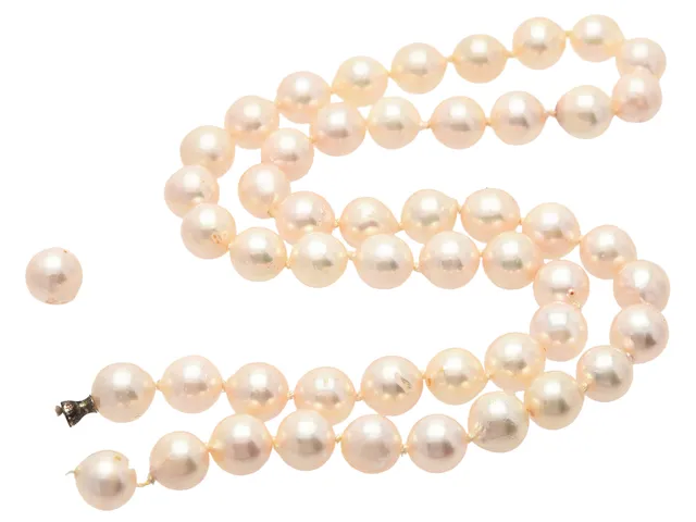 OLE LYNGGAARD, pärlcollier, odlade saltvattenspärlor, ca 7,5-8,0 mm, ej lås, dobb, ej märkt, trasig, saknar ena dobben.