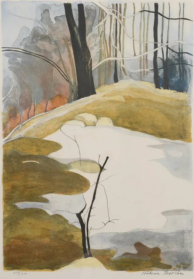 HÅKAN THORSÉN. Skogsmotiv, färglitografi, signerad, numrerad 237/310.