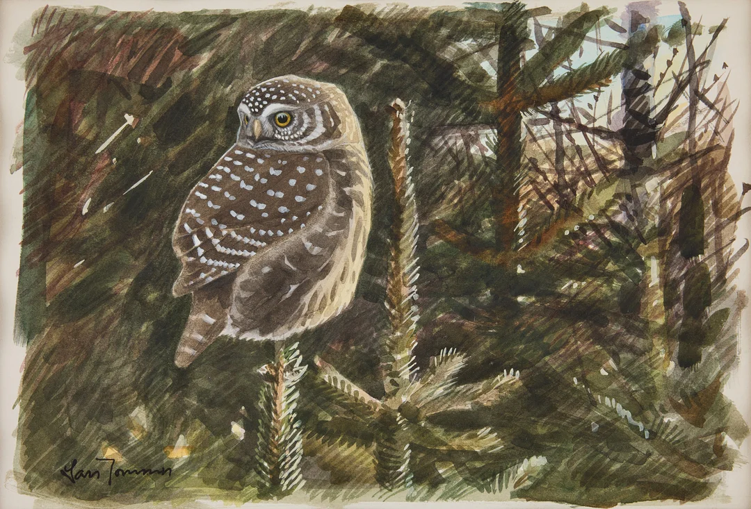LARS JONSSON. "Sparvuggla i grantopp". — Paintings — Stockholms Auktionsverk Fine Art