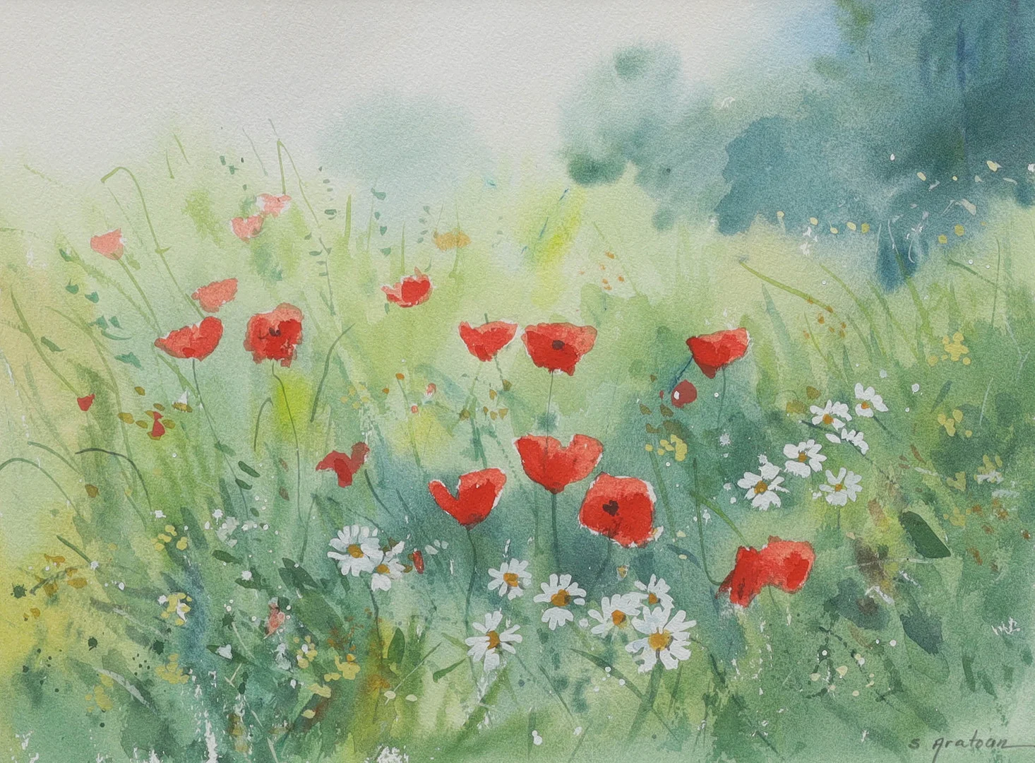 SARO ARATOUN. akvarell, sommaräng med vallmo och prästkrage, signerad S Aratoun. — Paintings — Auktionsmagasinet Vänersborg