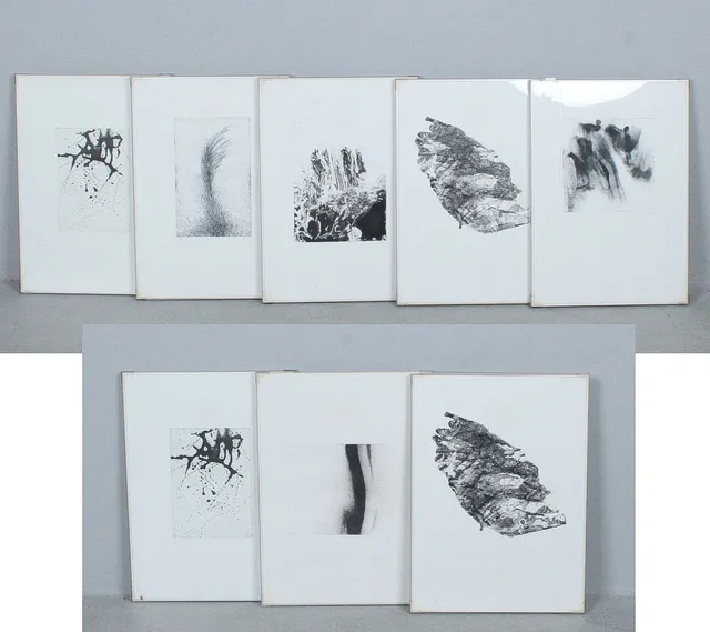 Acht Lithographien, Henkel / Edition Dehydag, signiert und limitiert.