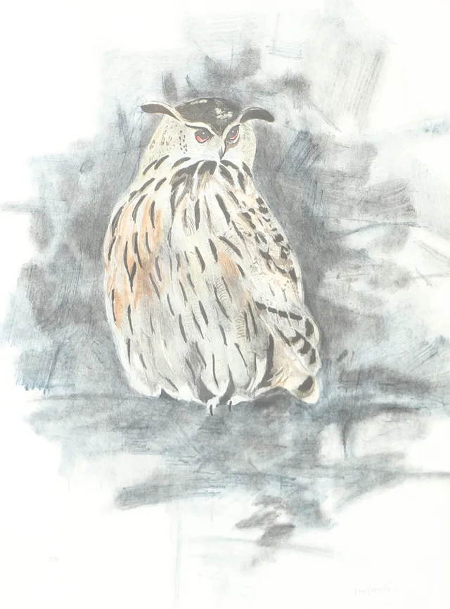 JAN RHODIN. Uggla, färglitografi, signerad.