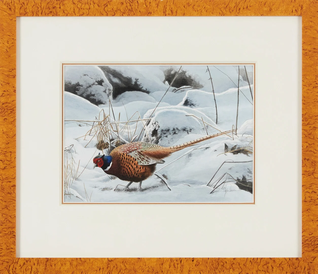 STAFFAN ULLSTRÖM (1949-). Fasantupp, akvarell. — Paintings — Stockholms Auktionsverk Magasin 5
