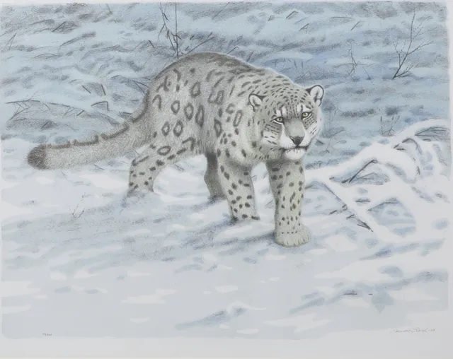 LENNART SAND. Snöleopard. Färglitografi, signerad, numrerad 156/360 och daterad -07.