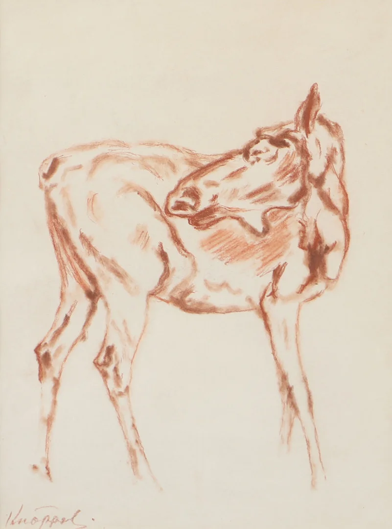 ARVID KNÖPPEL. Älgkalv, rödkrita, signerad Knöppel. — Drawings — Helsingborgs Auktionskammare