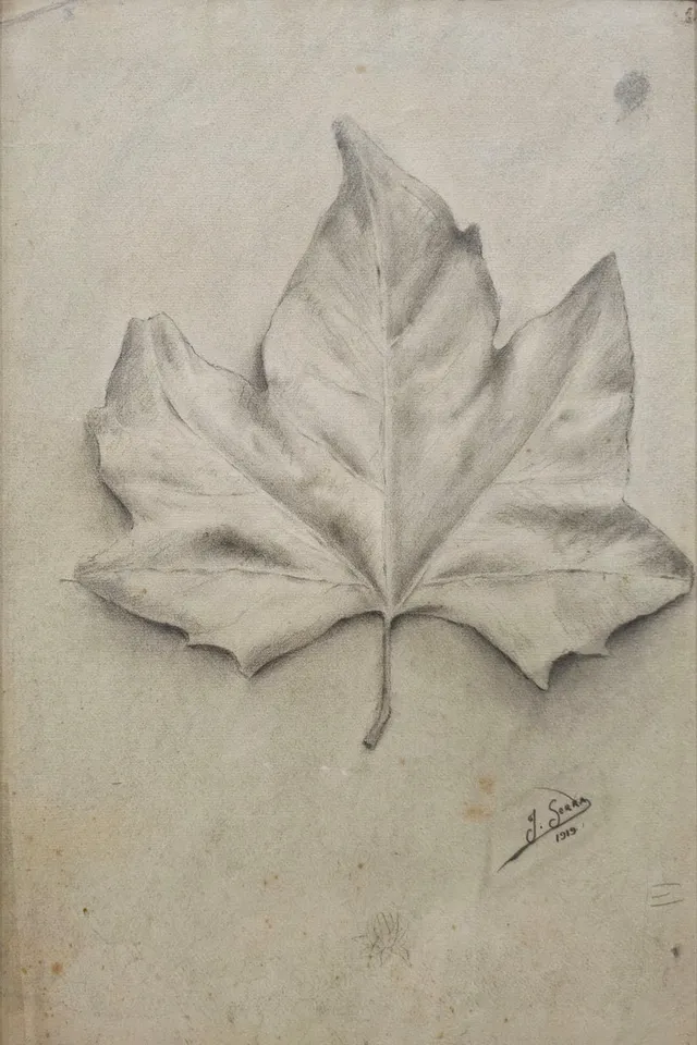JOAN SERRA MELGOSA. hoja de plátano.