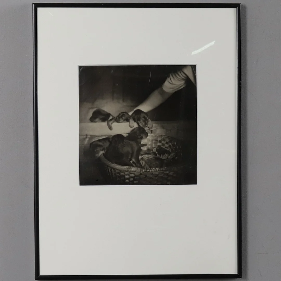 HENRY B GOODWIN. (1878-1931): TOTTS BARN, OSIGNERAD, GELATINSILVER FOTOGRAFI. — Photography — Örebro Stadsauktioner
