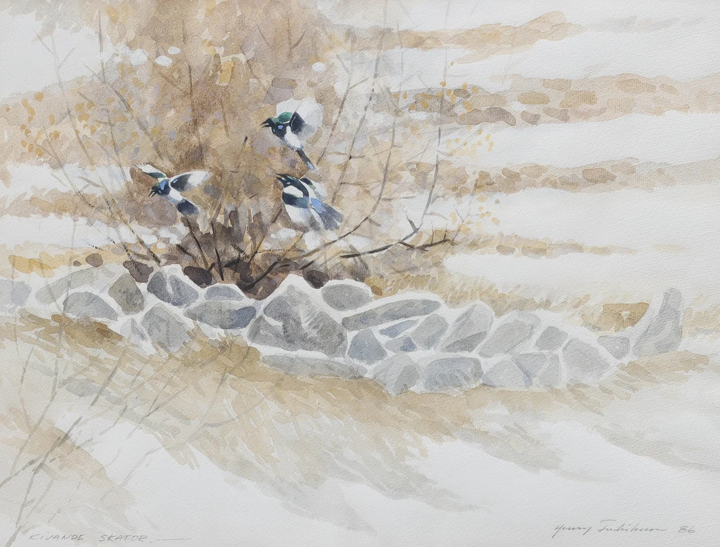 HENRY FREDRIKSSON. akvarell, "Kivande Skator", signerad, daterad -86. — Paintings — Auktionsmagasinet Vänersborg