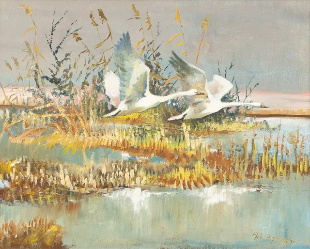 ARNE LIDQVIST (1919–1975). Svanar på flykt, olja på duk, signerad.
