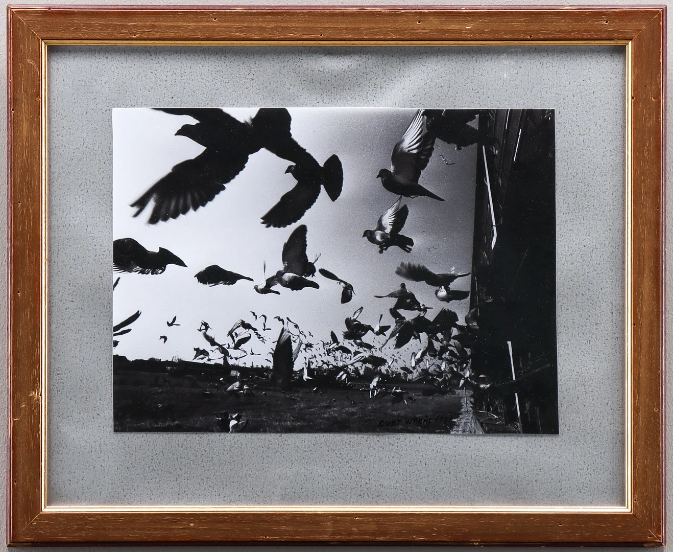 CURT WARÅS. Svartvit fotografi, Flykten. — Photography — Karlstad Hammarö Auktionsverk