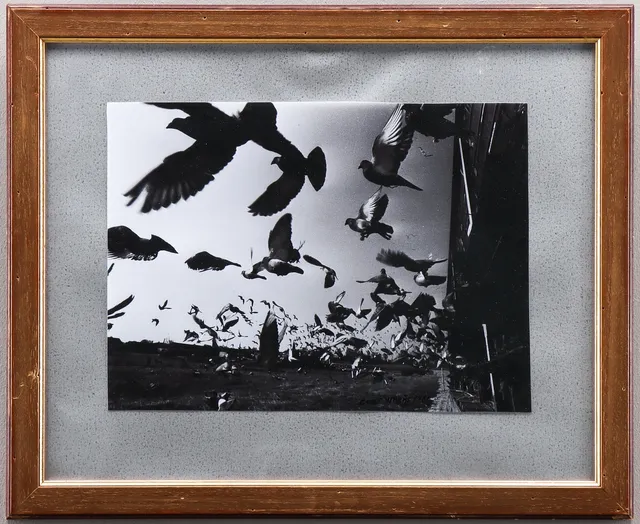 CURT WARÅS. Svartvit fotografi, Flykten.