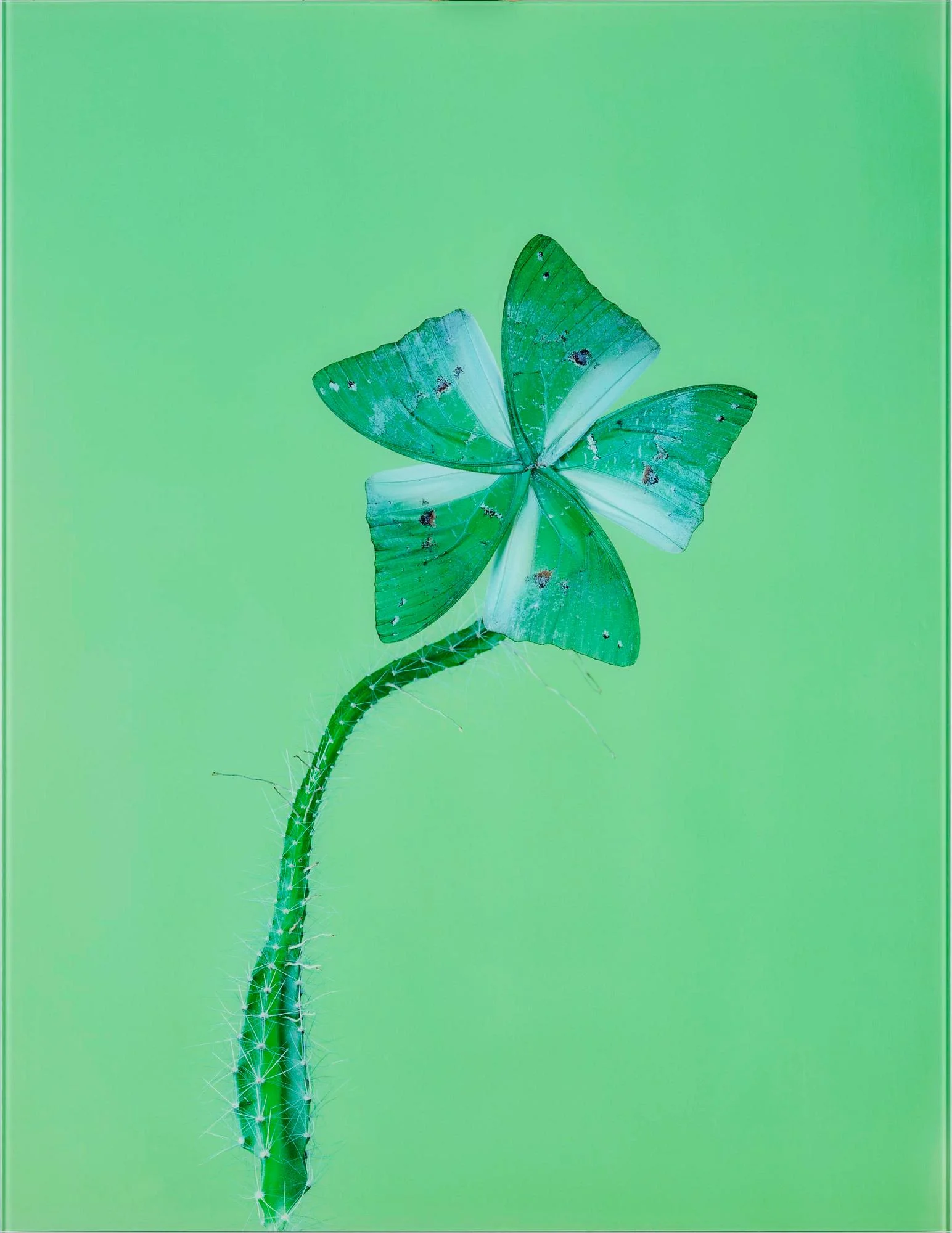 Nathalia Edenmont, "Lena", 2007. — Bukowskis