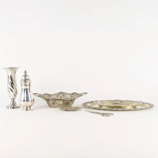 DIVERSE SILVER.