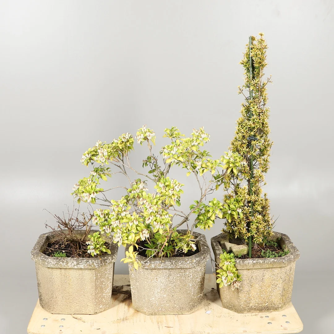 A TRIO OF RECONSTITUTED STONE PLANTERS. — Garden — Lawrences Auctioneers