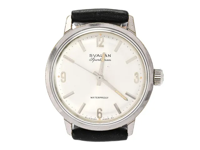SVALAN, Sportsman (Ra Swiss Made Ra), Boett nr. 205129, herrur, 34 mm, stål, manuell, plexiglas, läderband, ca 1960.