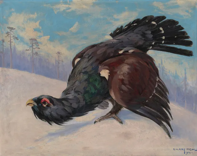 Mehl, Eilert — Tiur, 1916