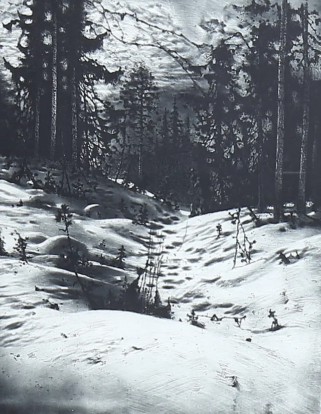CURT HAMNE. "Vinterskog", etsning, signerad, numrerad.