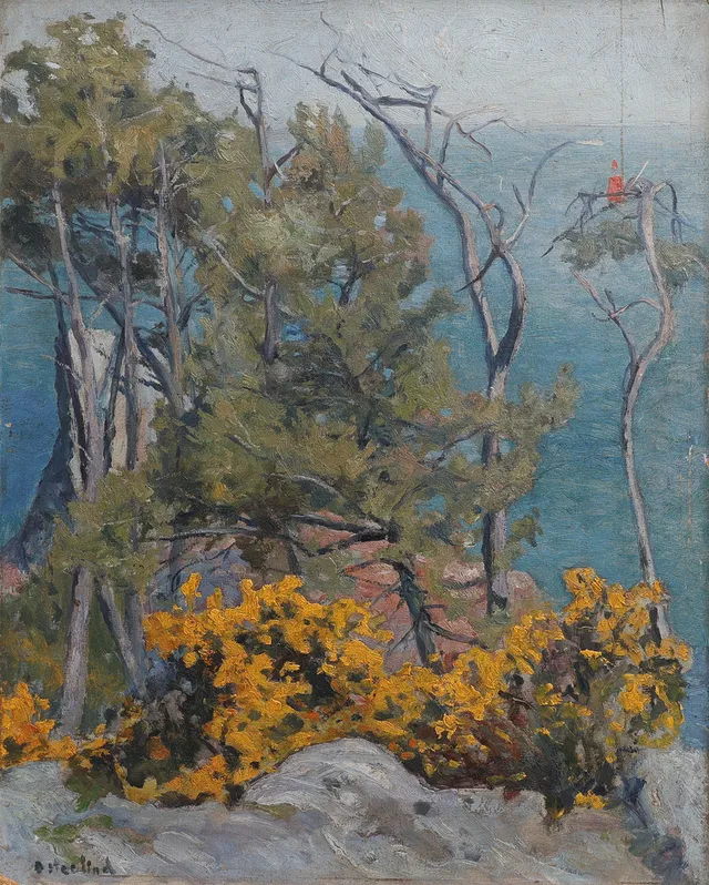 ALLAN ÖSTERLIND. TALLBEVUXEN KLIPPA VID HAVET.