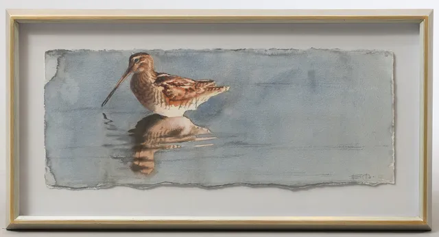 EMANUEL BERNSTONE. Enkelbeckasin, akvarell på handgjort papper, monogramsignerad, 1990-tal.