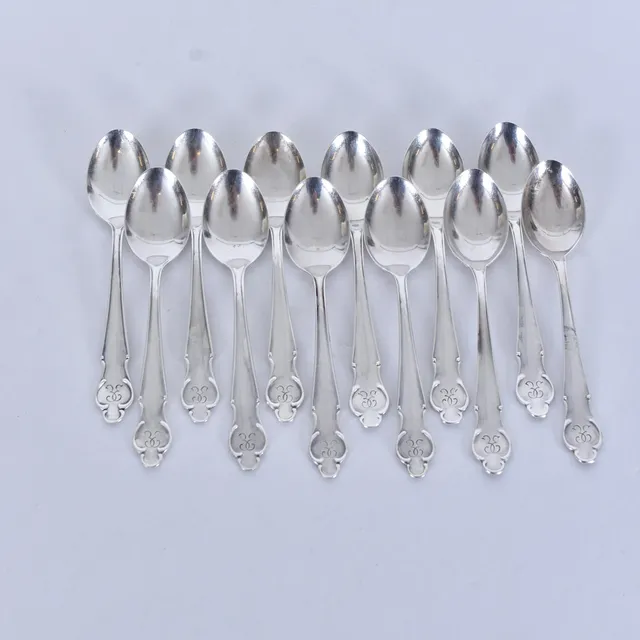 THESKEDAR, 12 st, silver, "Disa".