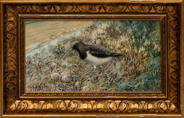 ELIS BARKSTEDT. "Strandskata vid boet", akvarell, signerad, daterad 1918.