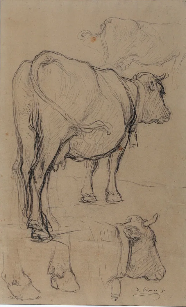 DIONÍS BAIXERAS. Notes from nature.