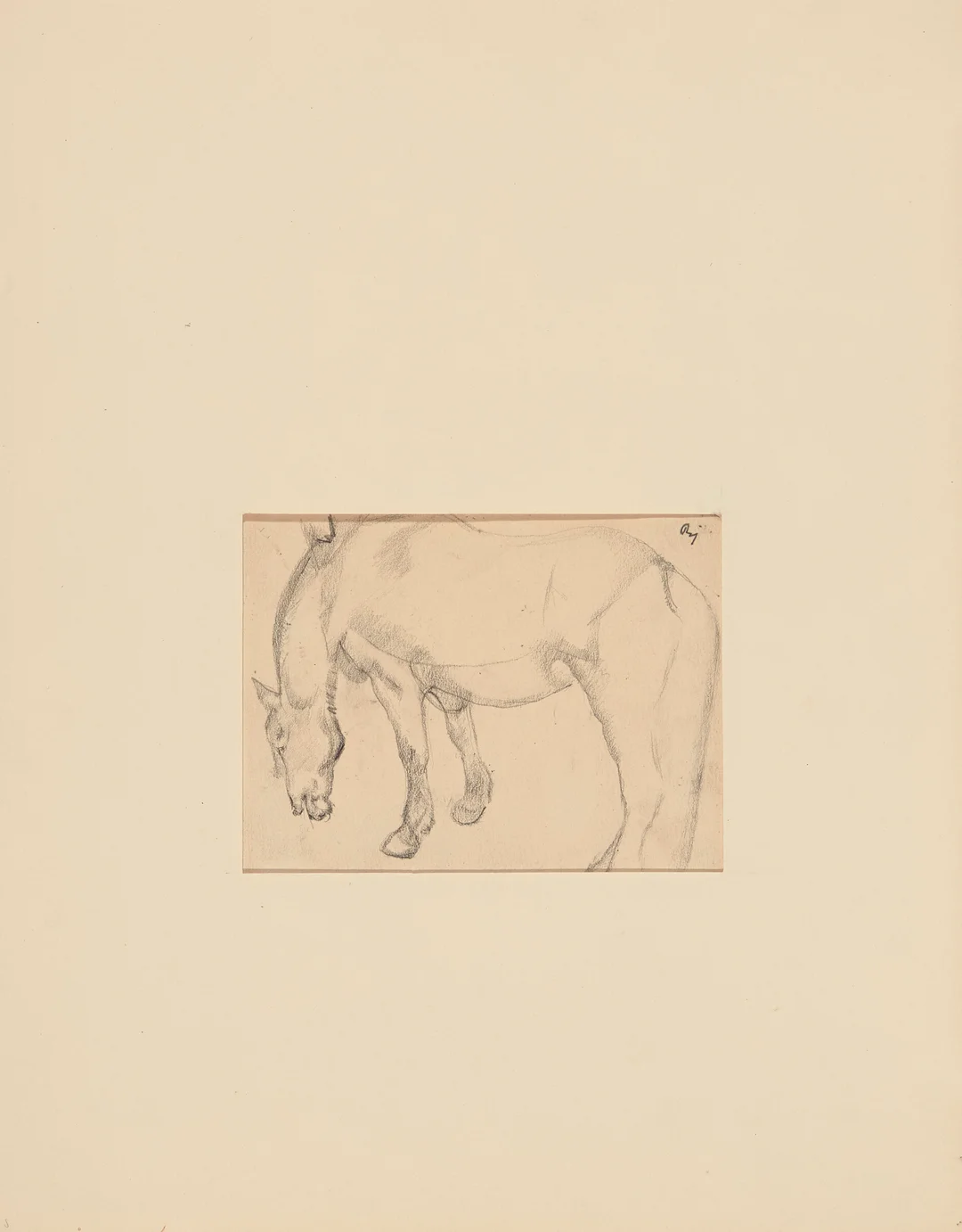 Ness, Bjarne — Hest, 1922-1923 — Kunst/Øvrig billedkunst — Blomqvist