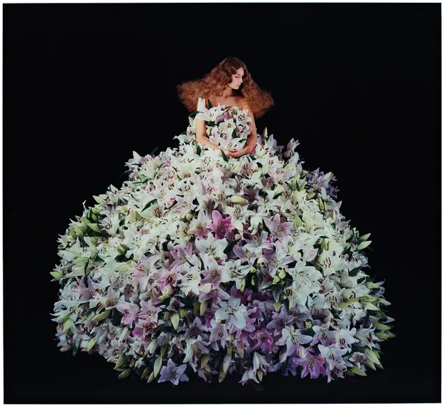 Nathalia Edenmont, "Just a Dream", 2016.
