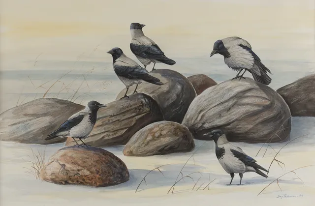 DAG PETERSON (1939-1919). Kråkor vid strand, akvarell.