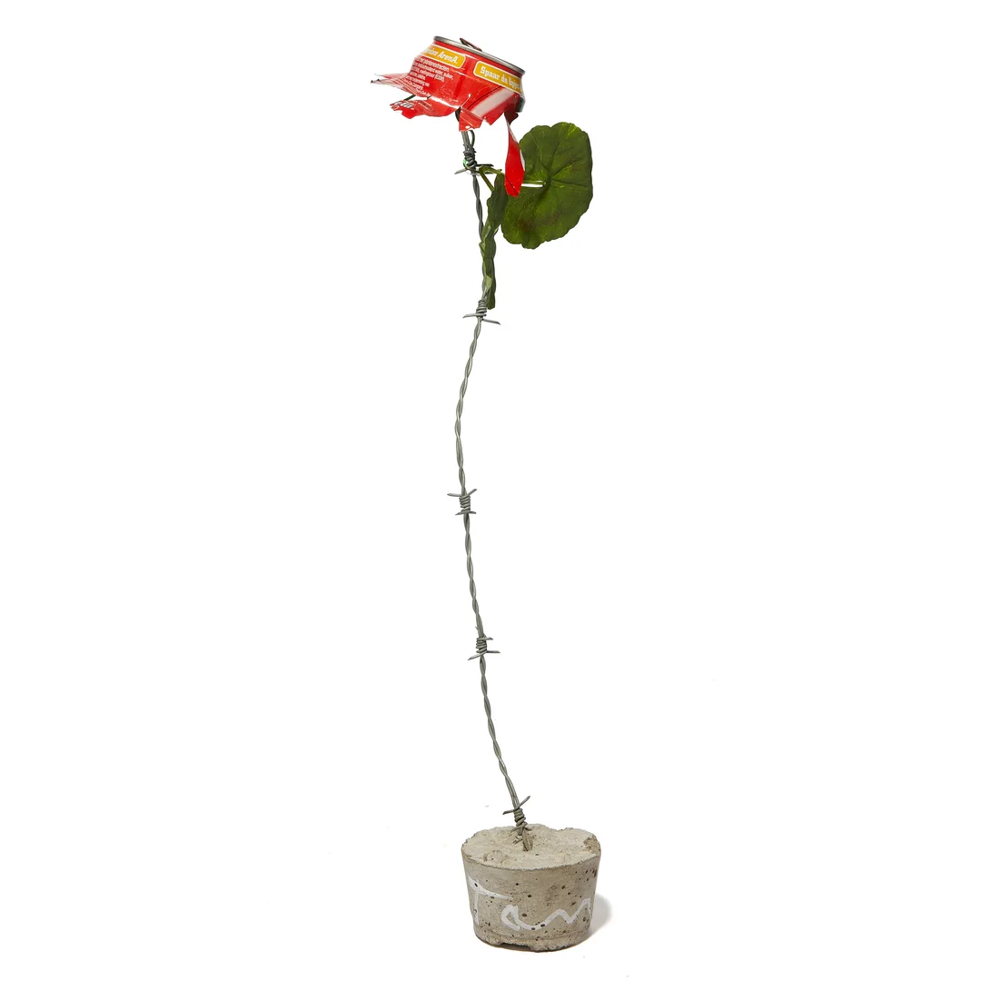 Slettemark, Kjartan — Coca Cola-rose, 2000-tallet — Kunst/Skulptur — Blomqvist