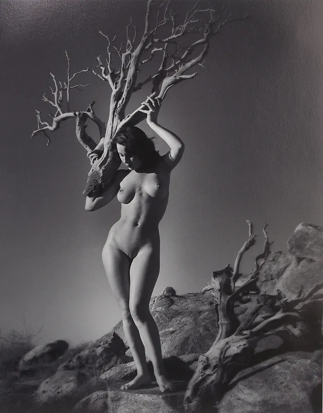ANDRE DE DIENES. Nakenstudie, svartvitt fotografi. One West Publishing.