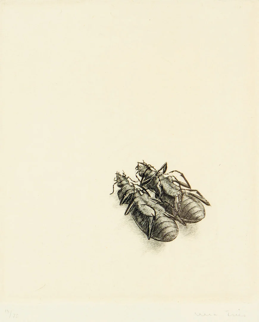 ULLA FRIES. Etsning, "Kackerlackor". — Engravings & Prints — Uppsala Auktionskammare