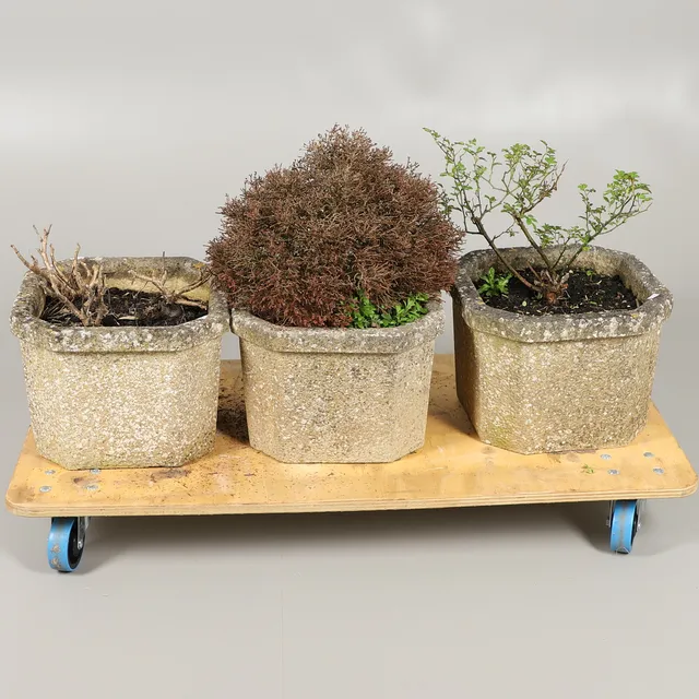 A TRIO OF RECONSTITUTED STONE PLANTERS.