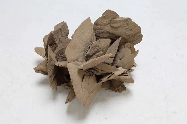 Large sand rose