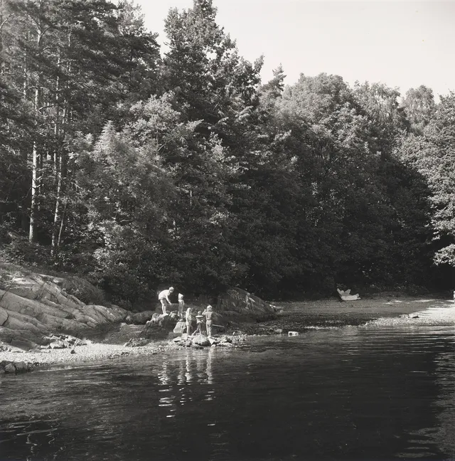 Alveng, Dag — "Krabbefiske, Håøya" 1989/ca. 1998