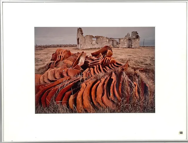 HANS HAMMARSKIÖLD. Ruin, fotografi, numrerad 9/50, signerad.