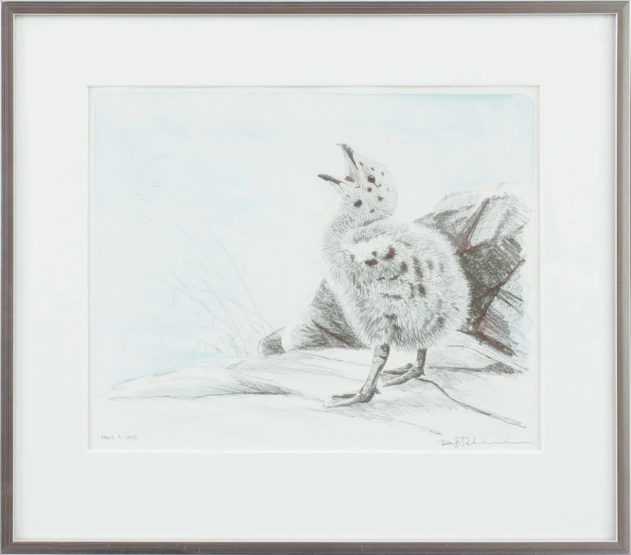 DAG PETERSON. Fågelunge, färglitografi, signerad, hors tirage. — Engravings & Prints — Göteborgs Auktionsverk