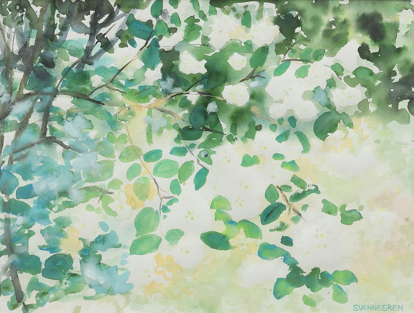 SOLVEIG SVENNEGREN (1936-2022). Jasminen blommar, akvarell, signerad. — Paintings — Garpenhus Auktioner