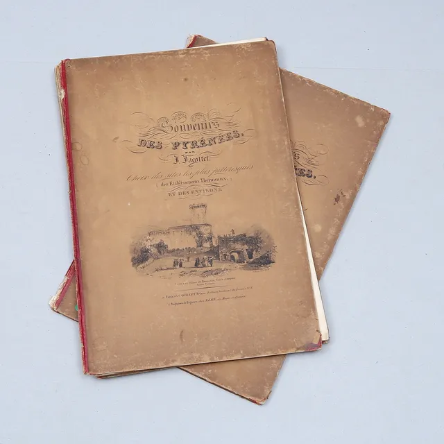 TOPOGRAFI, 2 volymer, "Souvenirs des Pyrénées ou Choix des Sites les plus pittoresques des Etablissements..." 1800-tal.