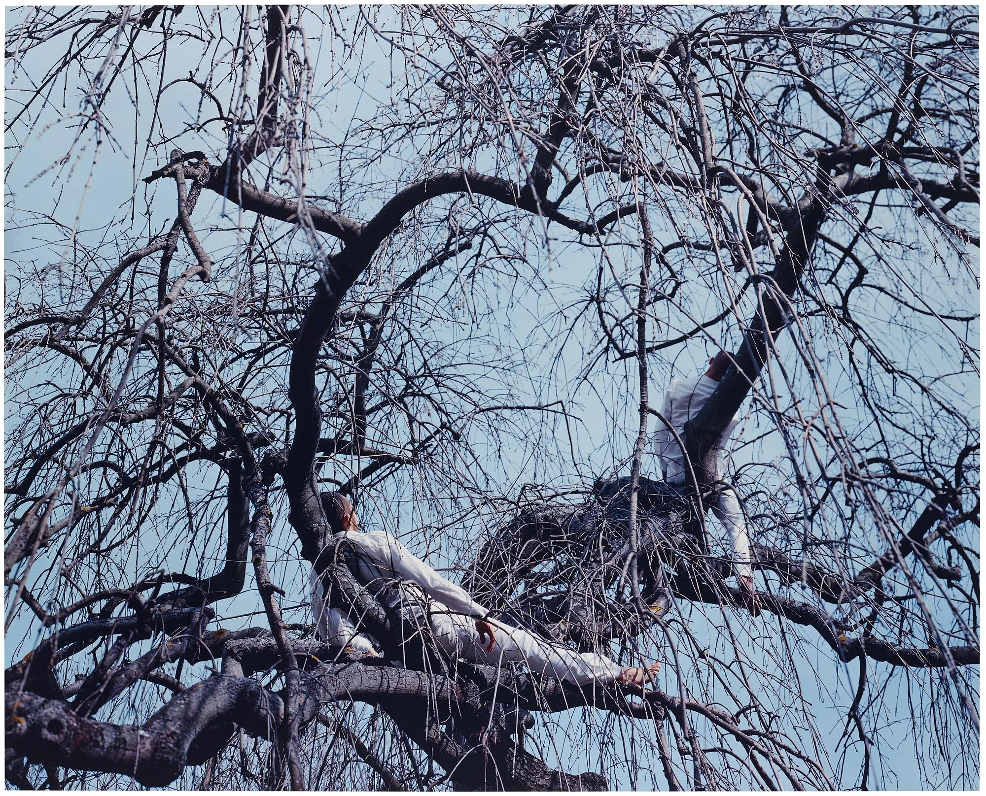 Maria Friberg, "Alongside Us #4", 2007. — Bukowskis