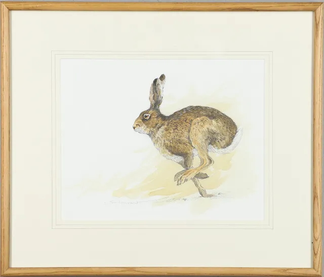 A TIM HAYWARD SIGNED WATERCOLOUR AND GOUACHE PICTURE OF A HARE.