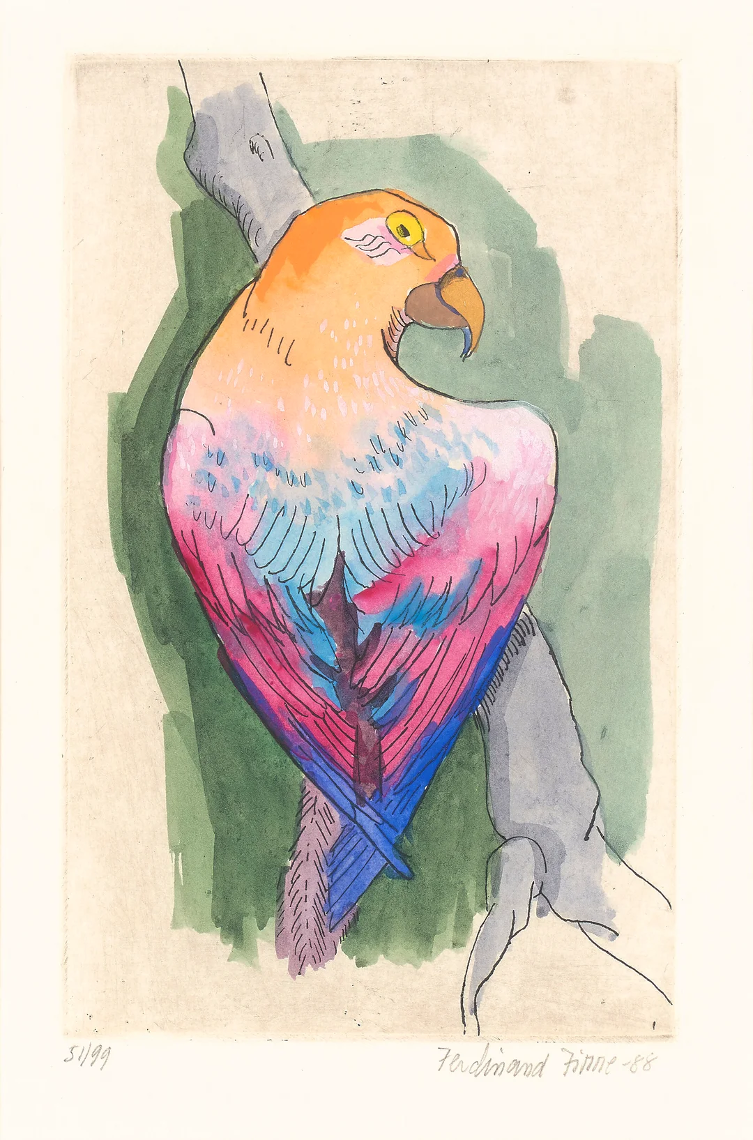 Finne, Ferdinand — Papegøye, 1988 — Kunst/Grafikk — Blomqvist