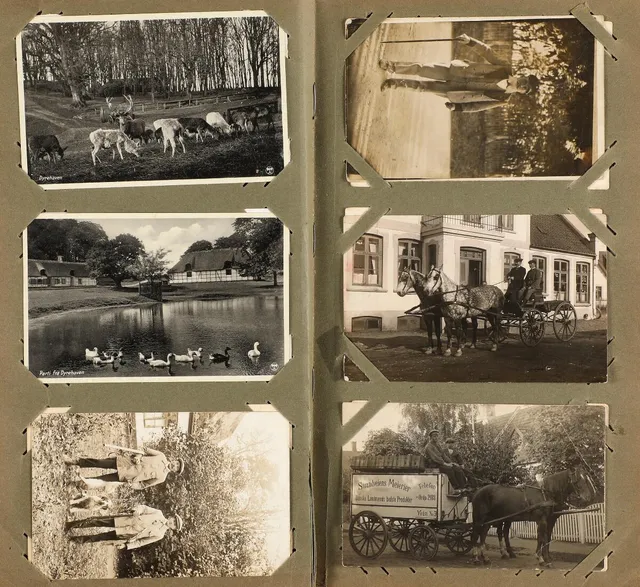 Postcards. Older album with some better motifs from Dyrehaven, Lyngby, Hjortekær and Anholt. Please see scan's