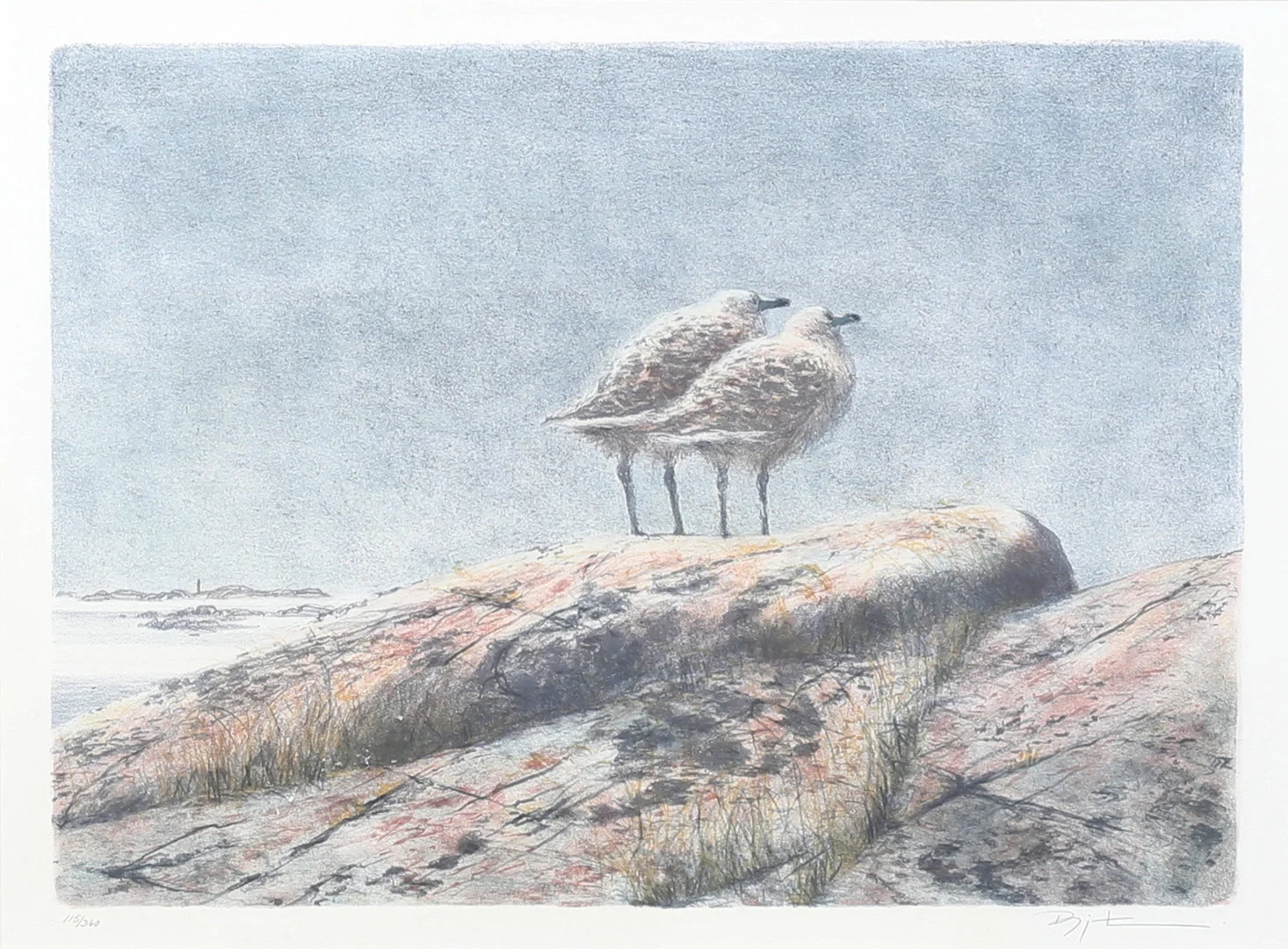 BJÖRN LINDROTH. Måsungar. Färglitografi, signerad och numrerad 115/360. — Engravings & Prints — Auktionshuset Thelin & Johansson