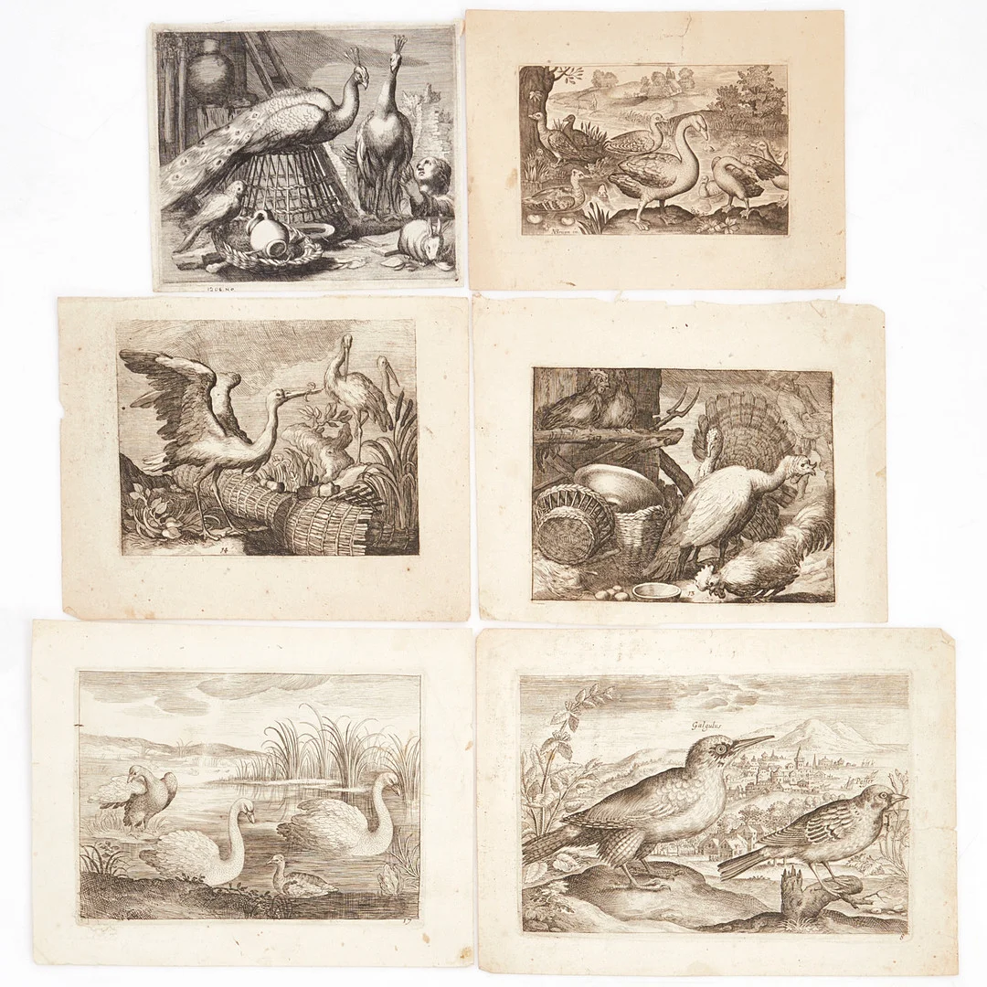 KOPPARSTICK (6), motiv med fåglar, 1600-tal. — Engravings & Prints — Crafoord Auktioner Stockholm