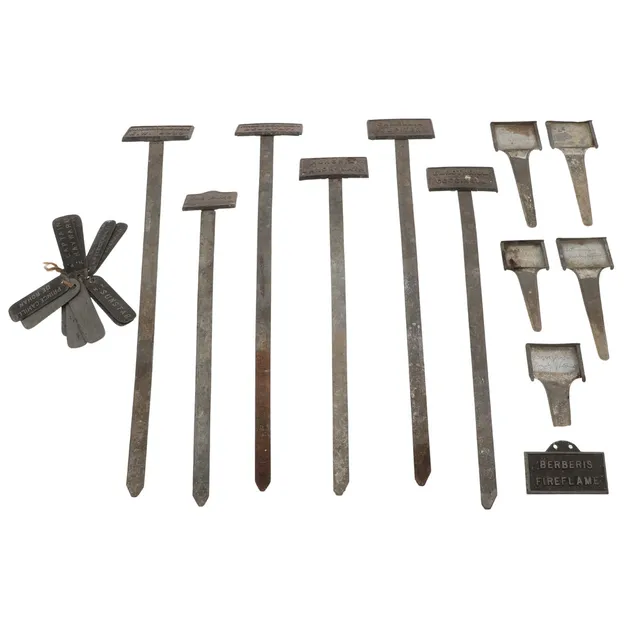 A GROUP OF EDWARDIAN CAST AND GALVANISED METAL BOTANICAL LABELS/PLANT MARKERS.