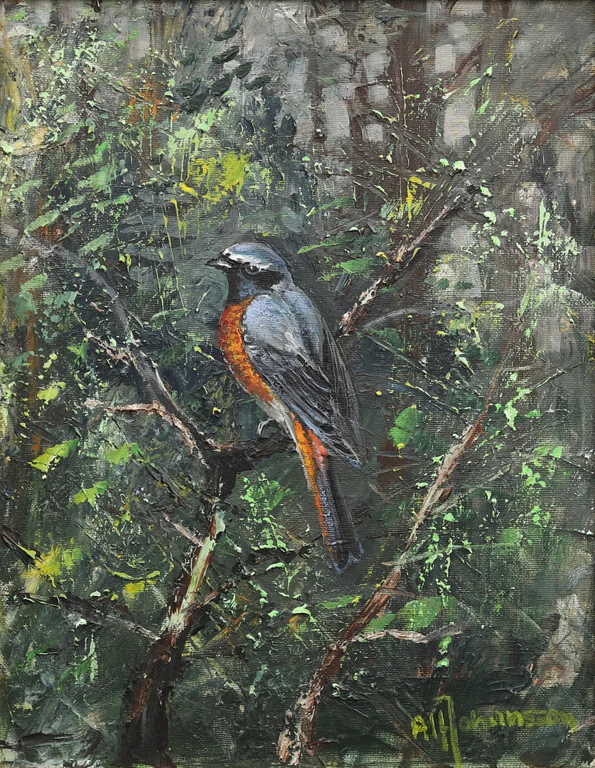 ALF JOHANSSON. "Rödstjärt", olja på duk, signerad. — Paintings — Garpenhus Auktioner