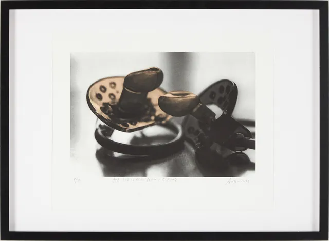 ANNIKA VON HAUSSWOLFF (FÖDD 1967). "Old habits echo New relations", signerad Avh, 2011.
