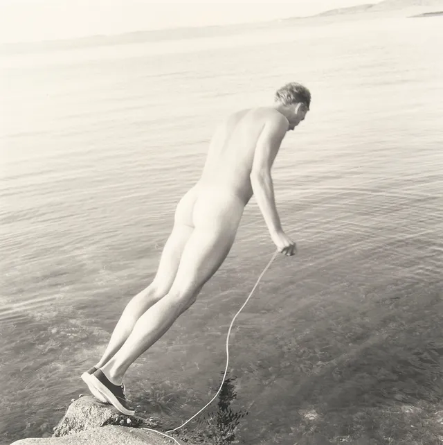 Alveng, Dag — "Selvskudd" 1981
