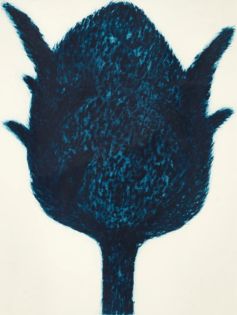 BARBRO ANDERSSON (F. 1948). Tistel, signerad, torrnål. — Engravings & Prints — Crafoord Auktioner Stockholm